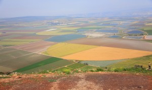 Picturesque valley in the Galilee.